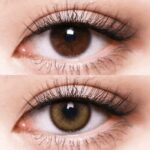 Bassia brown
