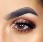 ⁦dna taylor green gray⁩ - الصورة ⁦3⁩