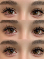 ⁦skylark dream⁩ - الصورة ⁦2⁩