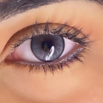 Bassia Gray