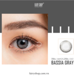 ⁦Bassia Gray⁩ - الصورة ⁦2⁩