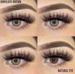 ⁦Himalaya Brown⁩ - الصورة ⁦4⁩